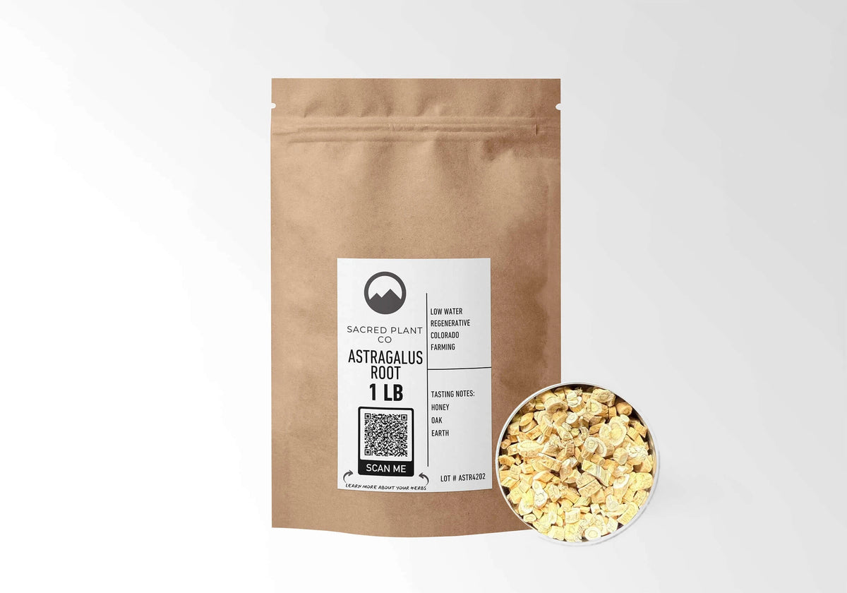 Sacred Plant Co Astragalus Root 1 LB kraft stand-up pouch shown with a sample of the herb.