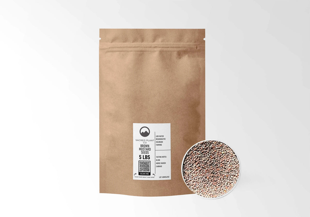 Sacred Plant Co Brown Mustard Seeds 5 LBS kraft stand-up pouch shown with a sample of the seeds.