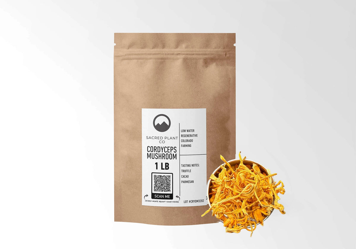 Sacred Plant Co Cordyceps Mushroom 1 LB kraft stand-up pouch shown with a sample of the mushroom.