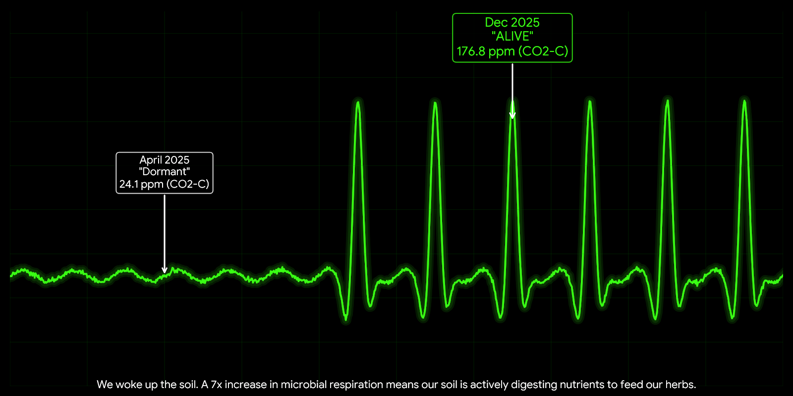 Soil respiration chart showing a 7x increase in microbial activity from April to December 2025 at Sacred Plant Co.
