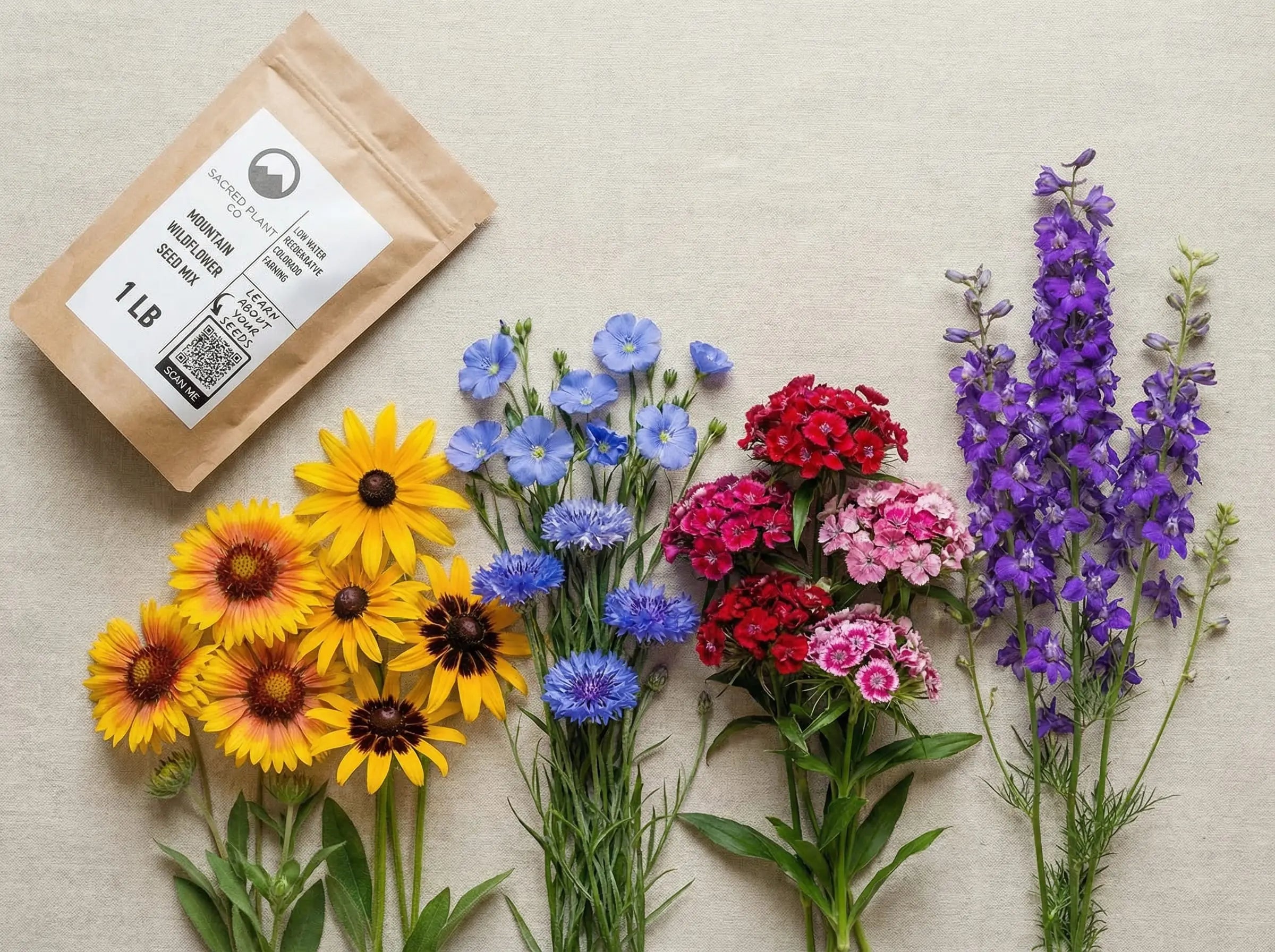 Flat-lay showing Sacred Plant Co Mountain Wildflower Seed Mix pouch with spilled seeds and fresh blooms of blanketflower, black-eyed susan, blue flax, cornflower, sweet william, and larkspur on a neutral background.