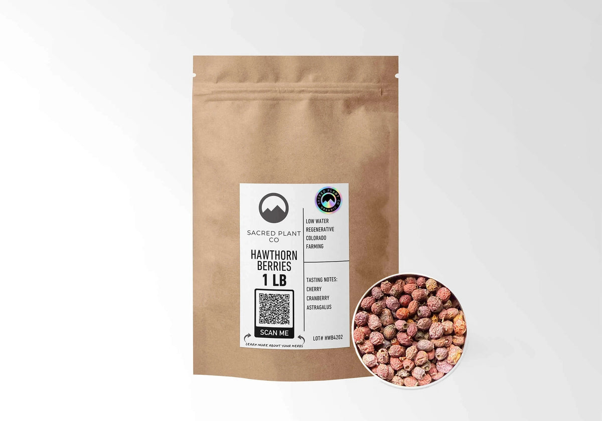 Sacred Plant Co Organic Hawthorn Berries 1 LB kraft stand-up pouch shown with a sample of the berries.