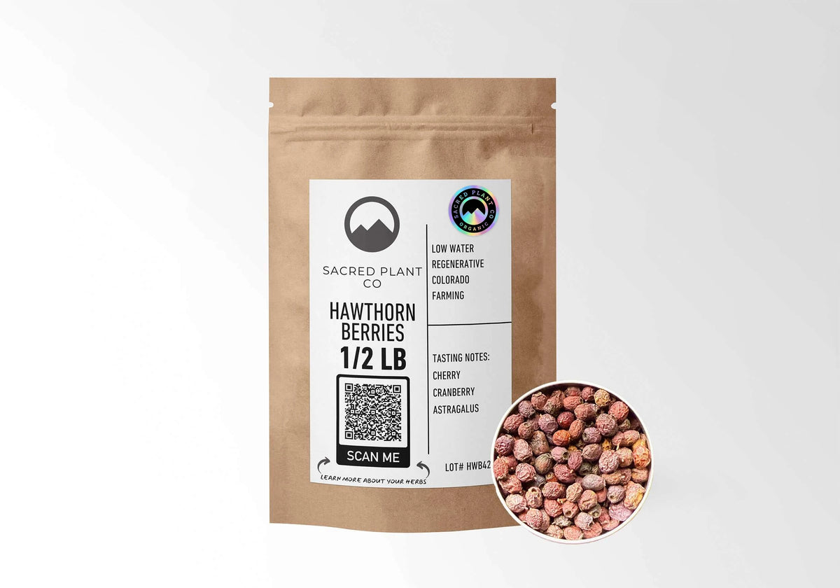 Sacred Plant Co Organic Hawthorn Berries 1/2 LB in a kraft stand-up pouch with the holographic organic seal on the label and a sample of whole dried hawthorn berries in a silver tin.