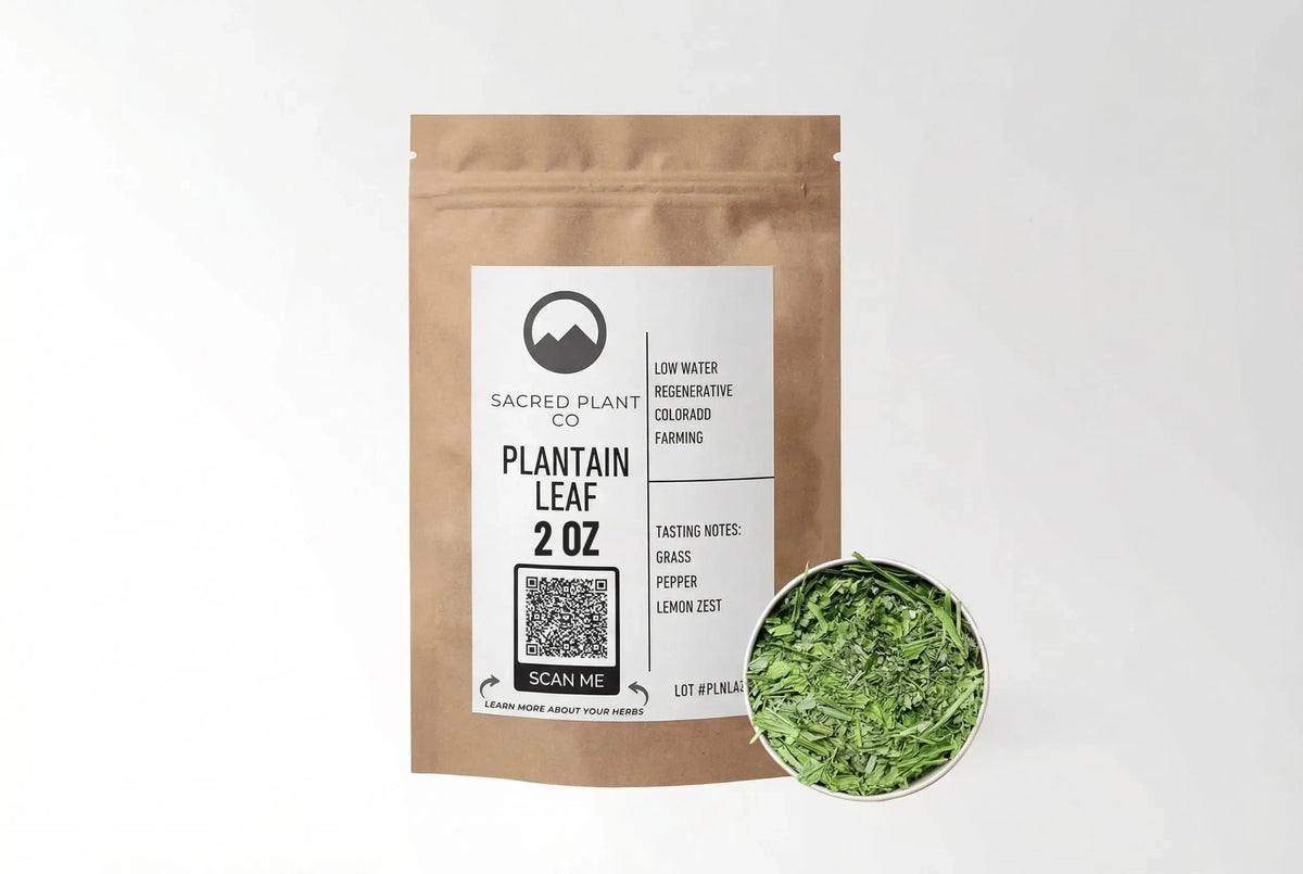 Sacred Plant Co Plantain Leaf 2 oz in a kraft stand-up pouch with a sample in a silver tin.