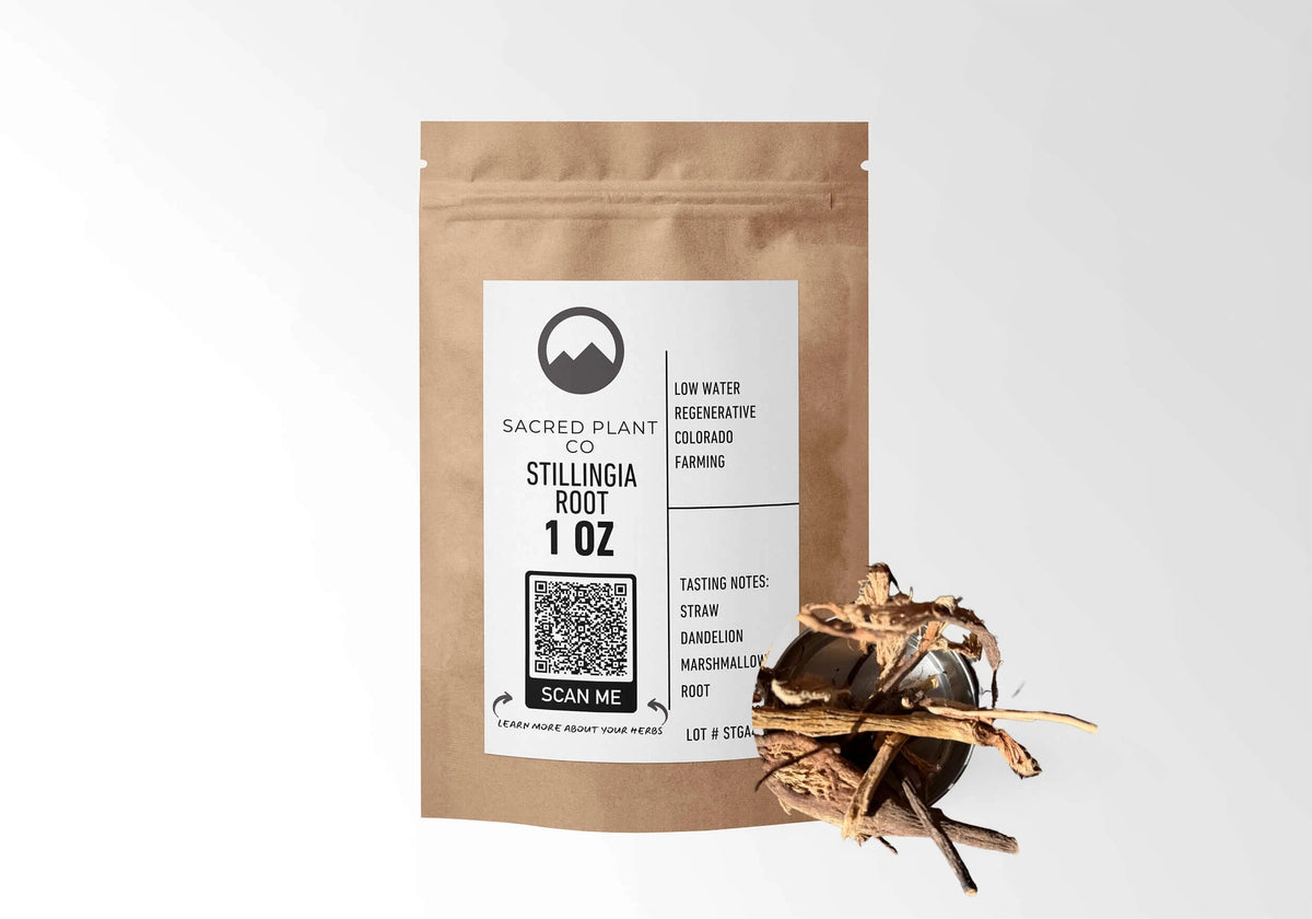 Sacred Plant Co Stillingia Root 1 oz kraft stand-up pouch shown with a sample of the herb.