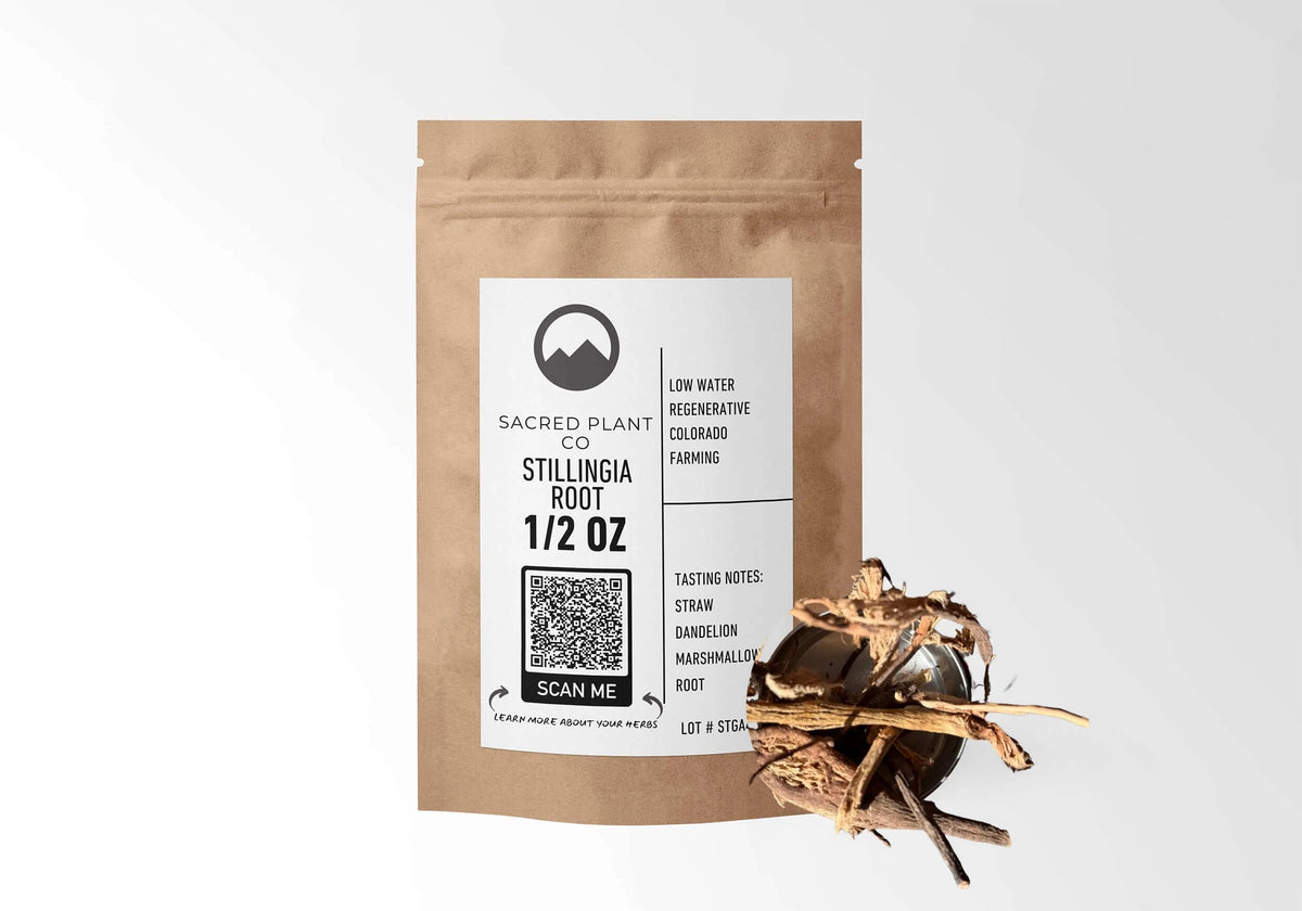Sacred Plant Co Stillingia Root 1/2 oz kraft stand-up pouch shown with a sample of the herb.