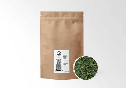 Sacred Plant Co Stinging Nettle Leaf 5 LBS kraft stand-up pouch shown with a sample of the herb.