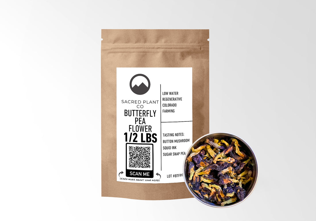 優質蝴蝶豌豆花茶 - 用於天然草藥輸液的散裝乾燥花