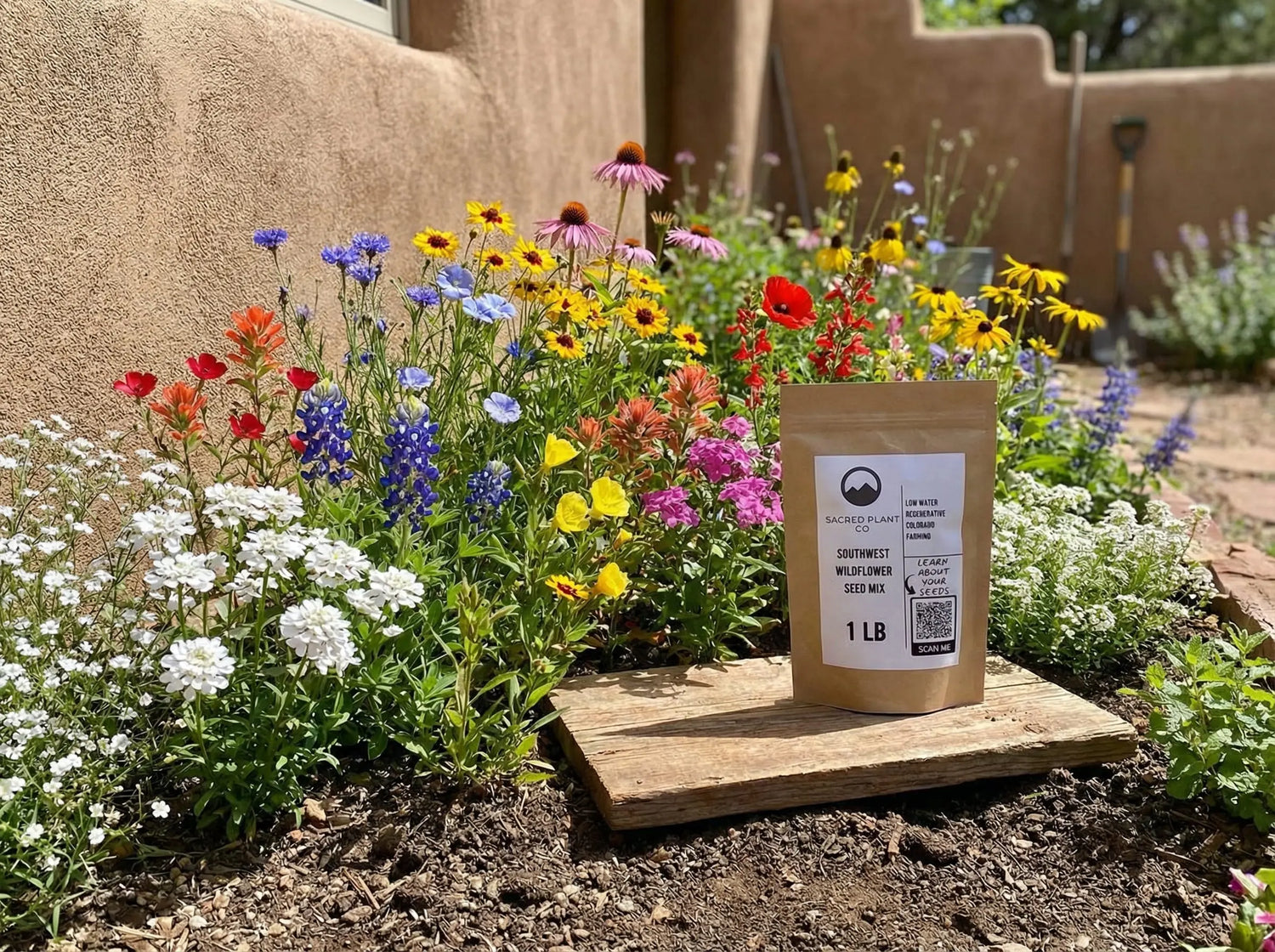 Southwest wildflower seed mix in bloom—coreopsis, gaillardia, blue flax, baby’s breath, phlox, poppies, echinacea—growing in front of an adobe home with Sacred Plant Co’s 1 lb seed mix bag displayed.