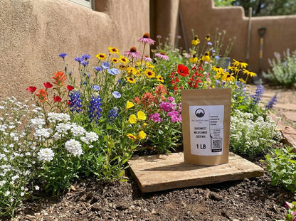 Southwest wildflower seed mix in bloom—coreopsis, gaillardia, blue flax, baby’s breath, phlox, poppies, echinacea—growing in front of an adobe home with Sacred Plant Co’s 1 lb seed mix bag displayed.