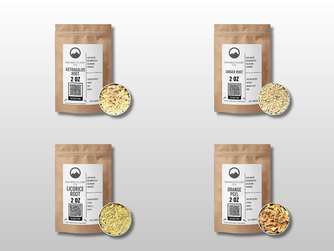 Sacred Plant Co TCM Phlegm and Dampness Starter Kit with cut and sifted astragalus, orange peel, licorice, and ginger