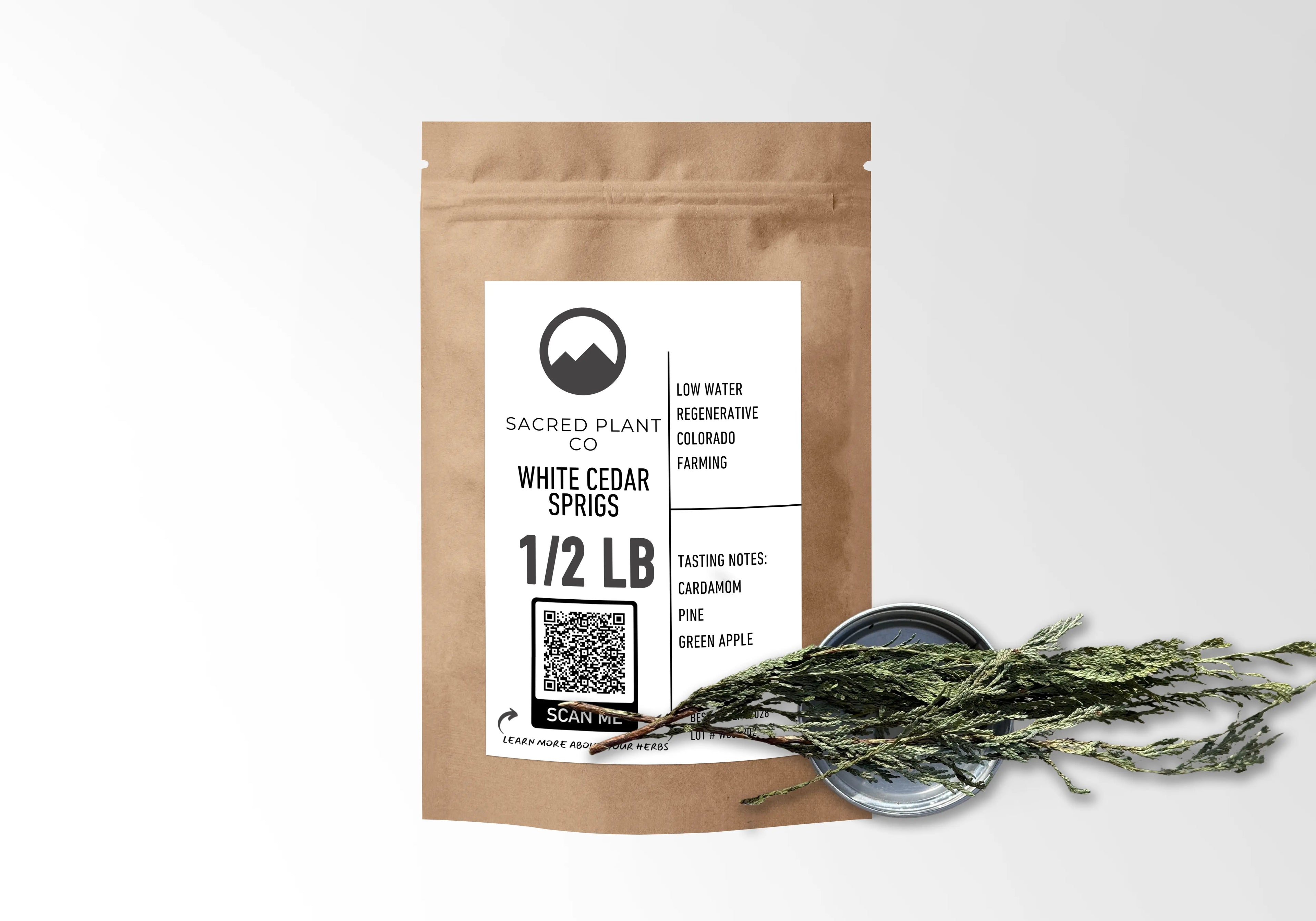 Sacred Plant Co White Cedar Sprigs – Premium Wildcrafted Evergreen (Thuja occidentalis)