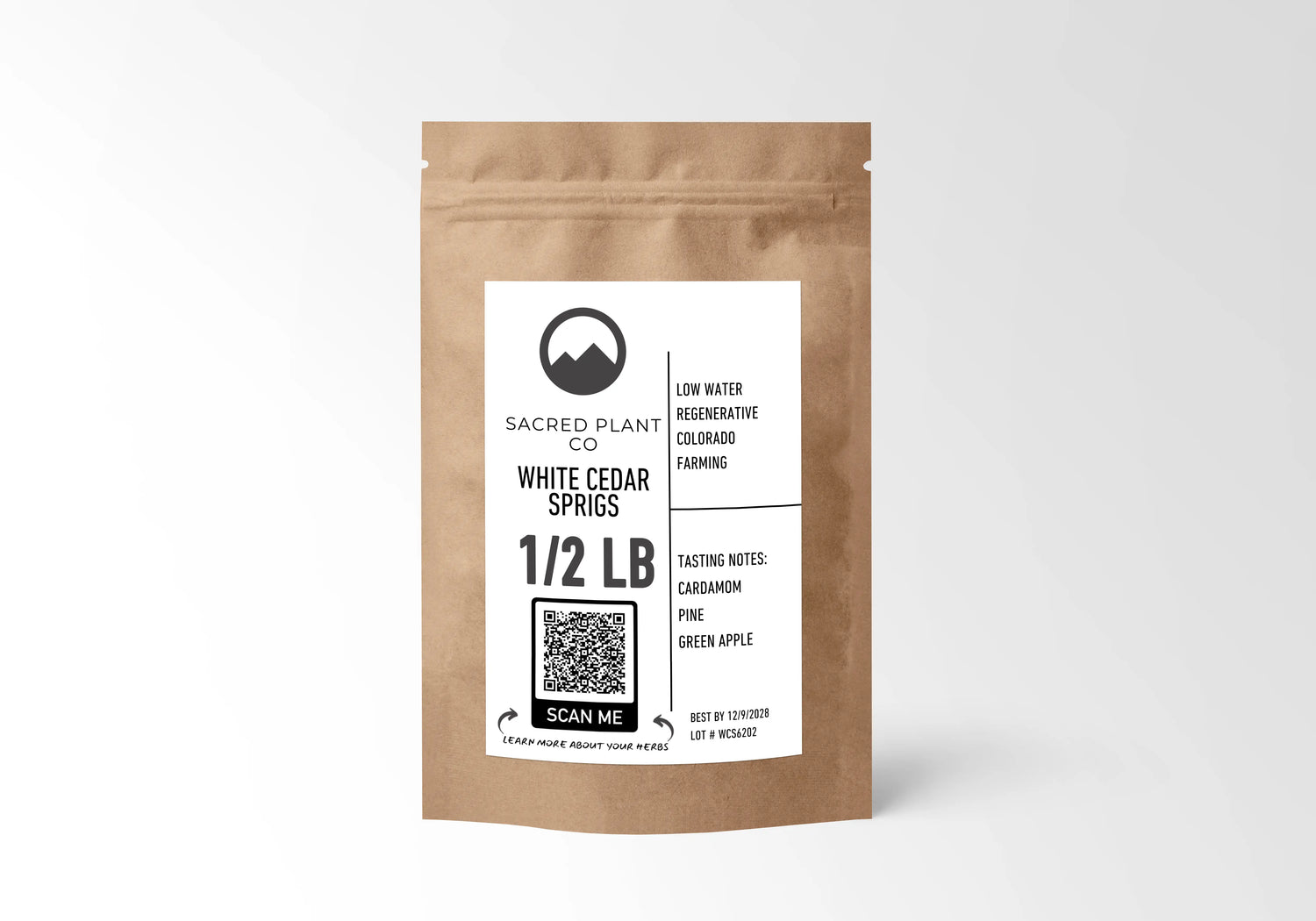 Sacred Plant Co White Cedar Sprigs – Premium Wildcrafted Evergreen (Thuja occidentalis)