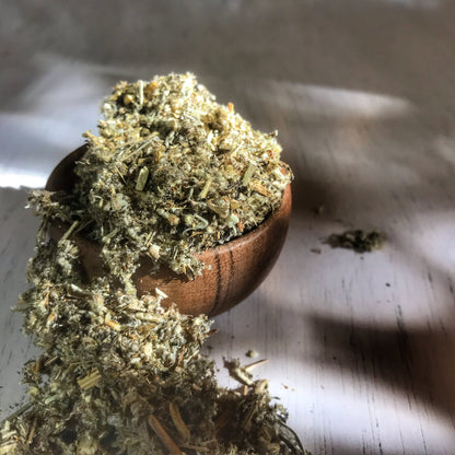 Mugwort Bulk Herb - Artemisia Vulgaris - Premium Quality Dried Mugwort Leaves