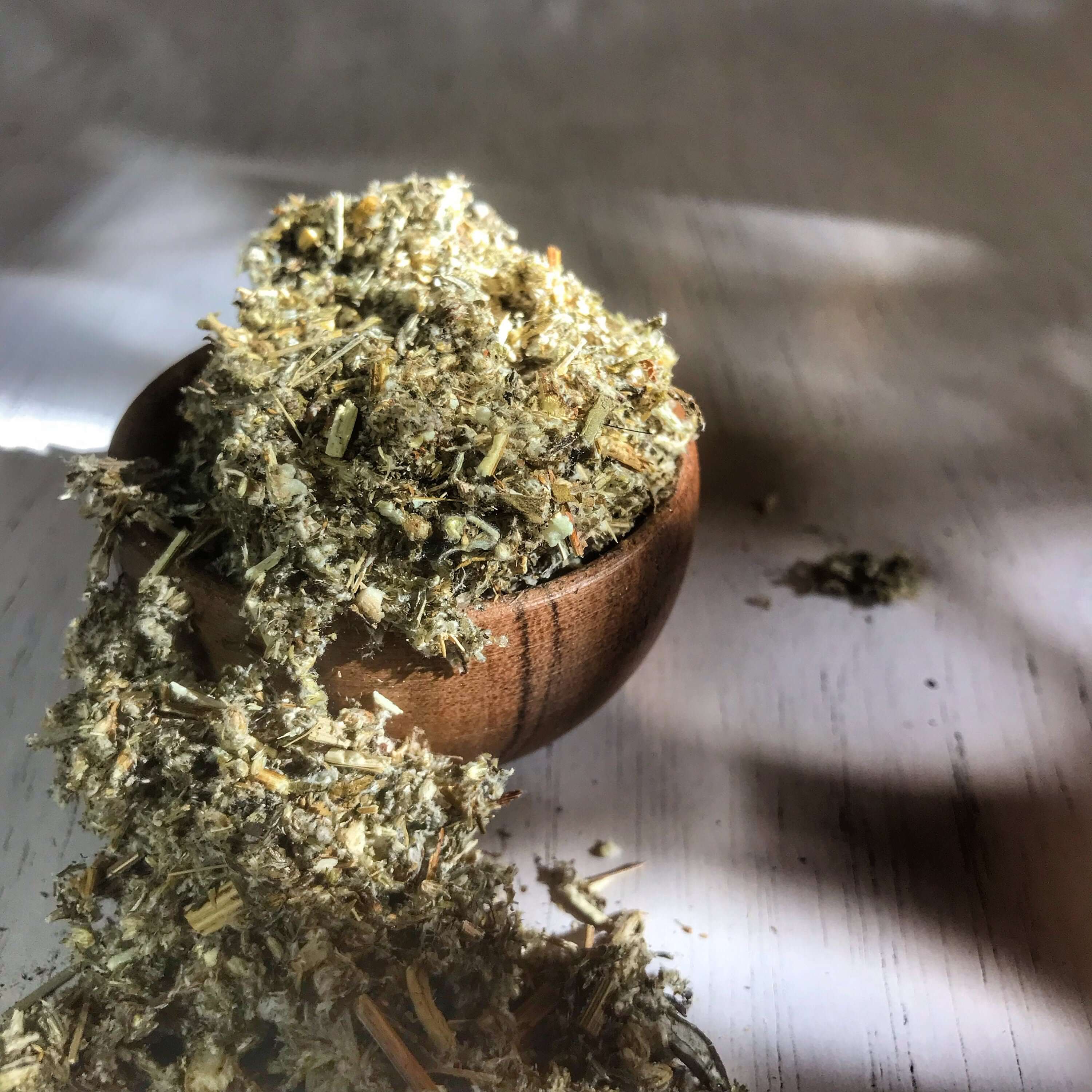 Finely textured Mugwort Herb scattered on a surface, with natural light highlighting the quality and purity of Sacred Plant Co’s herbs.