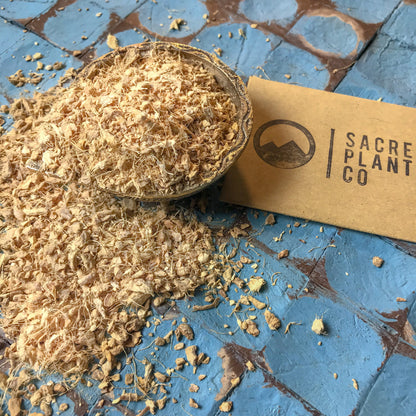 Ginger Root Bulk - Premium Quality Zingiber officinale - Sacred Plant Co