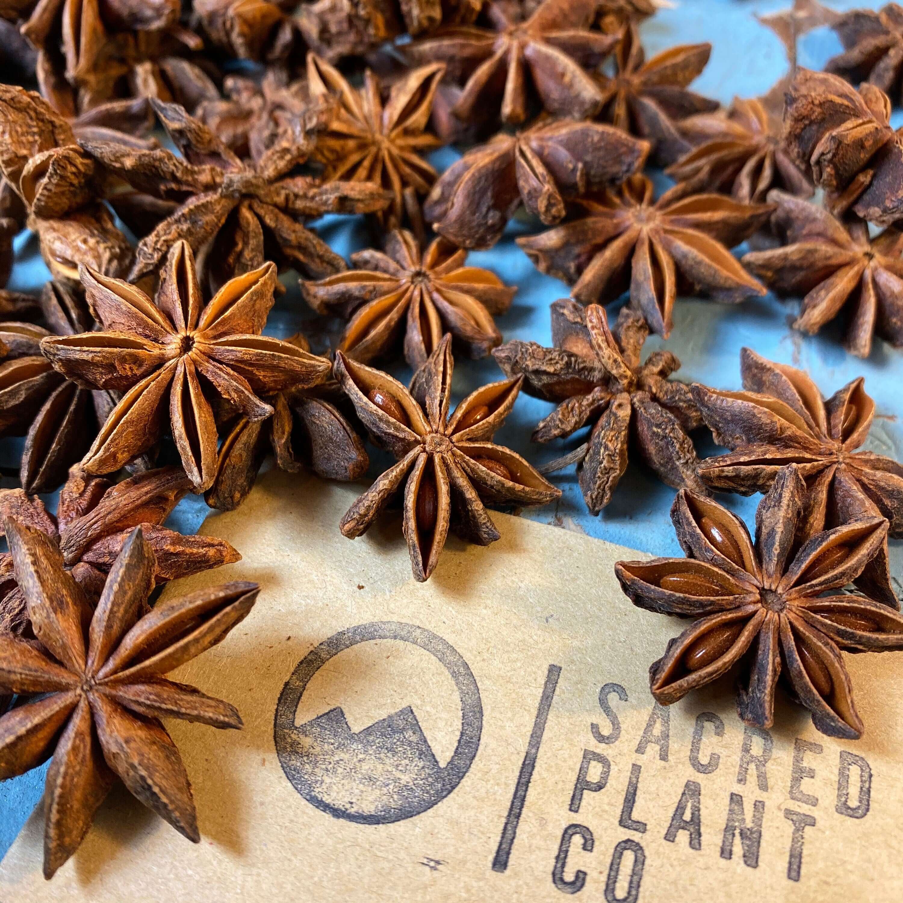 Sacred Plant Co&