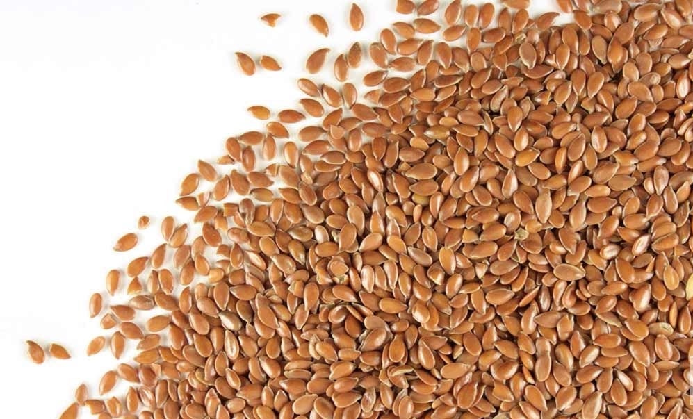 Flax Seed Bulk - Premium Quality Whole Flaxseeds - Linum Usitatissimum