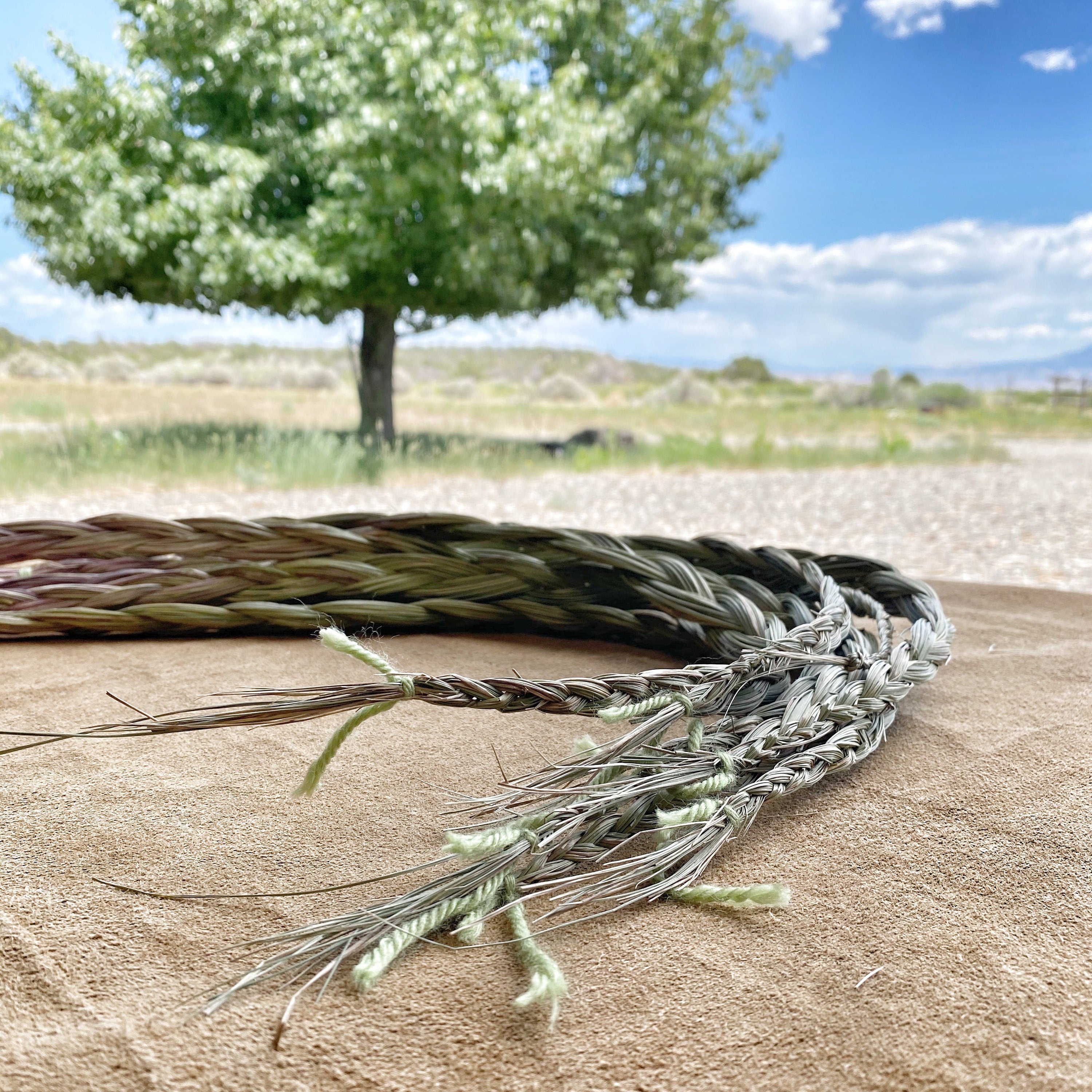 Close-up image of the fragrant Sweetgrass braids, handpicked and woven with expertise on Sacred Plant Co Farm.