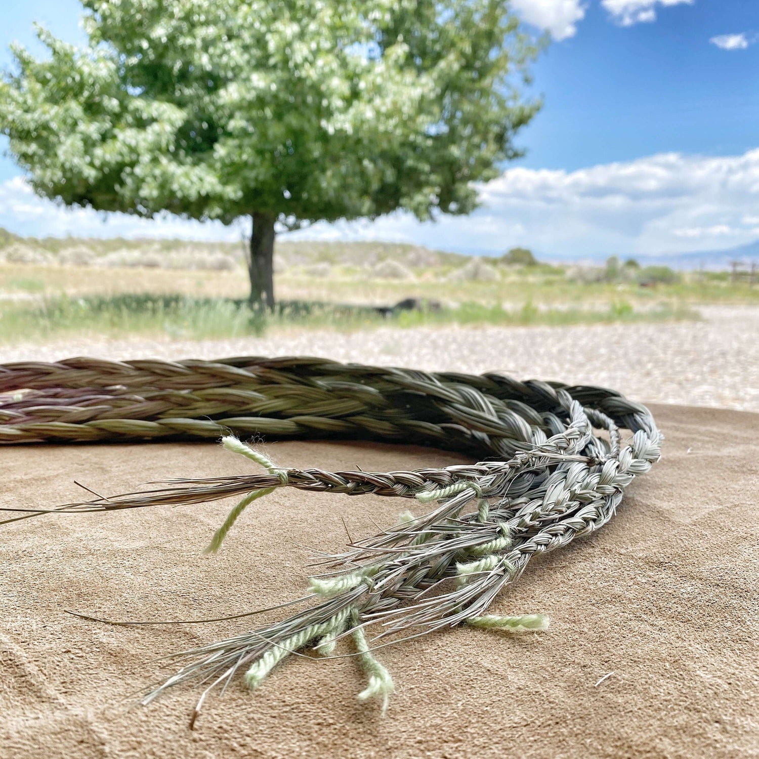 Single 18-inch Sweetgrass braid on a light background, ready for welcoming rituals.
