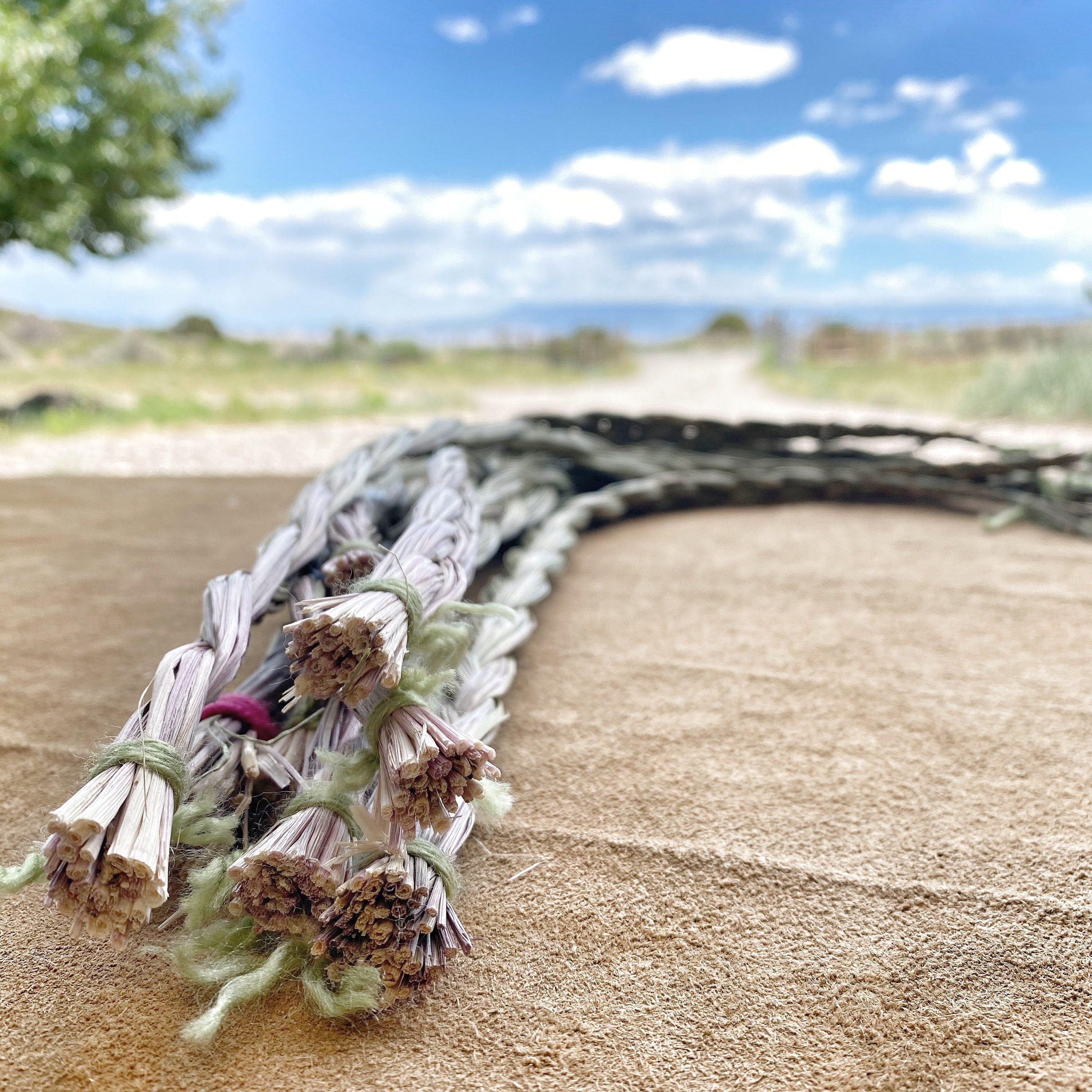 Image of a meticulously handcrafted Sweetgrass braid from Sacred Plant Co Farm, showcasing its intricate and beautiful design