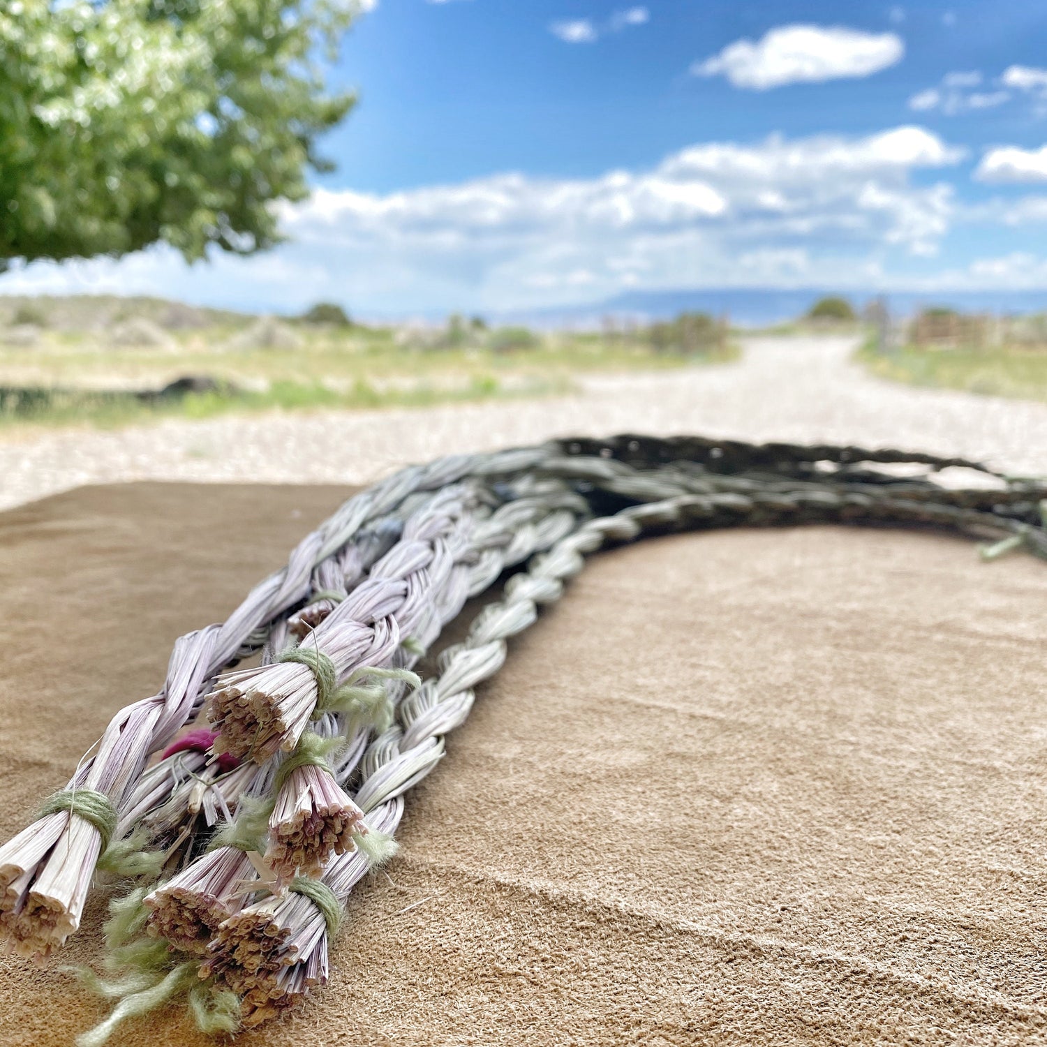 Artfully arranged Sweetgrass braids, a testament to Sacred Plant Co Farm&
