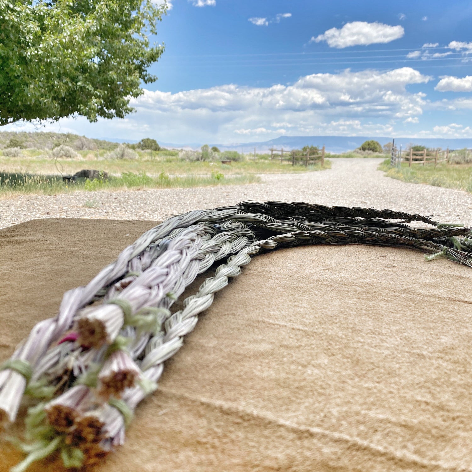 Arranged Sweetgrass braids on a rustic blanket, a testament to Sacred Plant Co Farm&