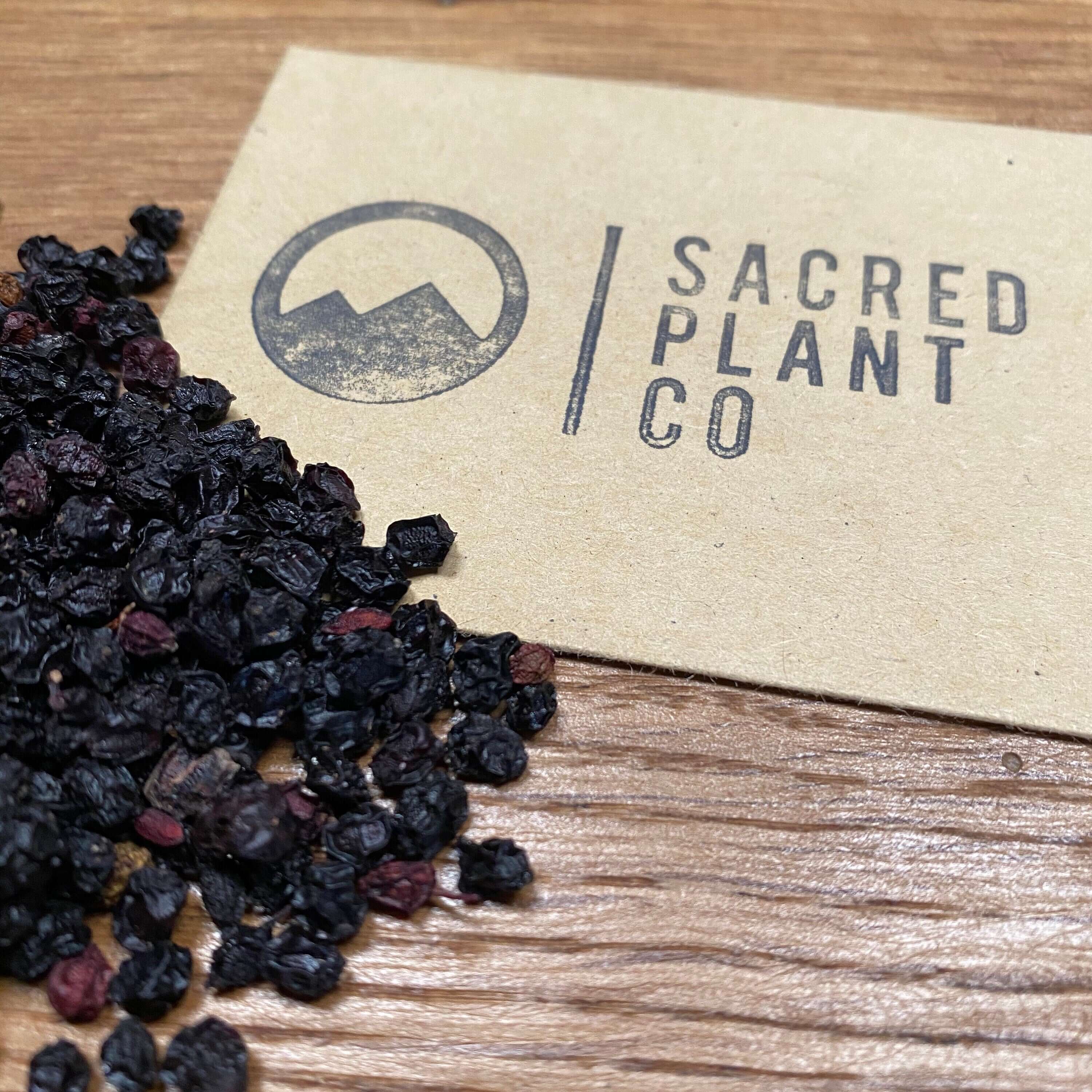 Whole Elderberries arranged on a textured wood surface with Sacred Plant Co’s branding, emphasizing premium herb quality.