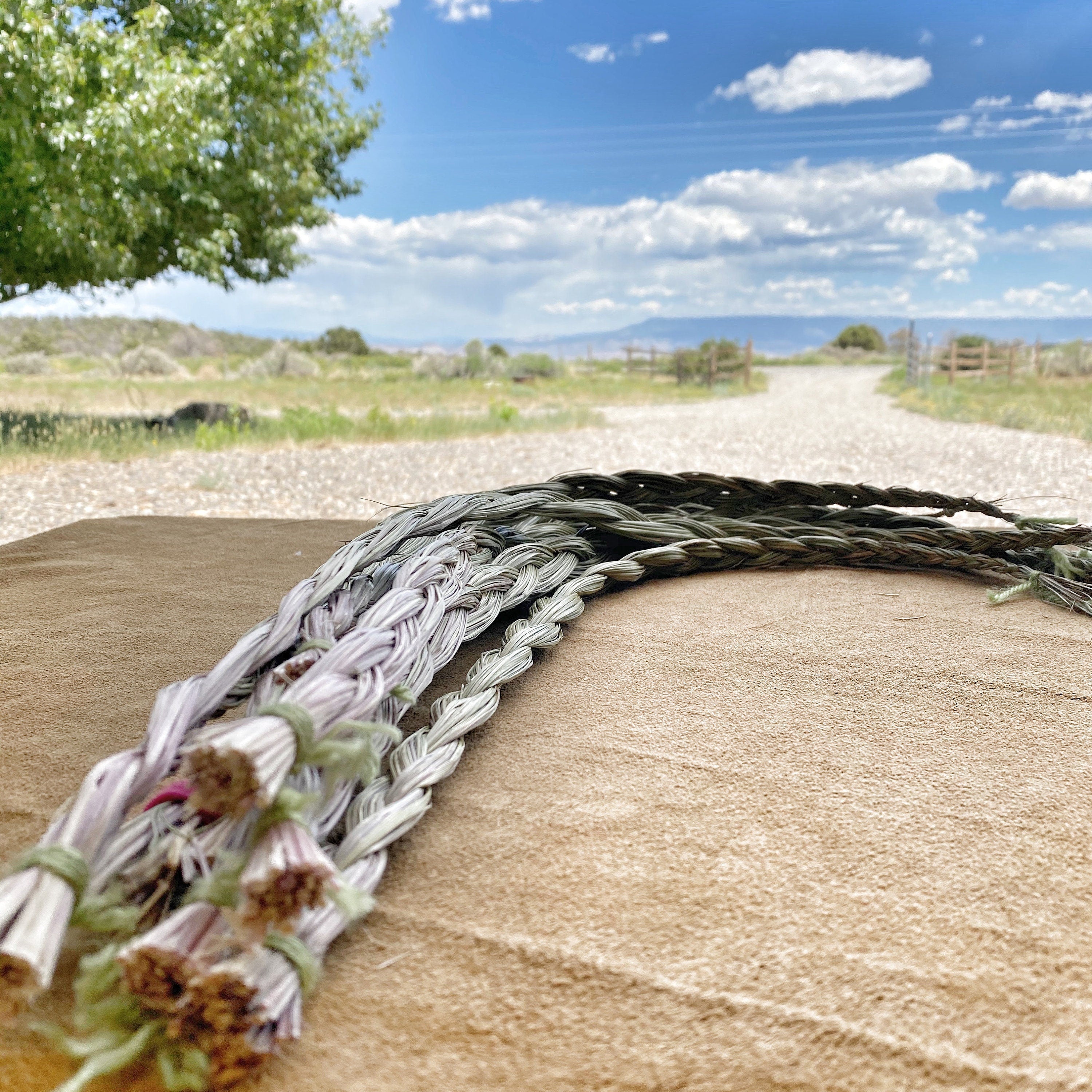 Close-up view of a delicate Sweetgrass braid, expertly crafted on Sacred Plant Co Farm, known for its sustainable practices.