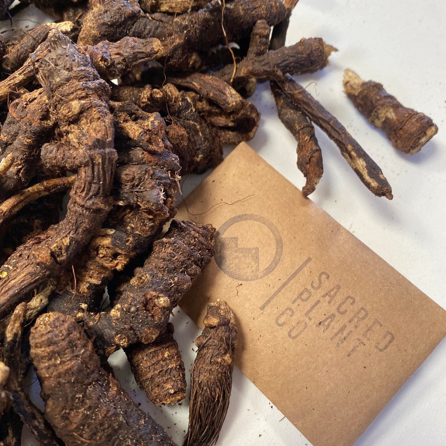 Close-up view of raw, natural Osha roots from Sacred Plant Co, used for making herbal respiratory tinctures.