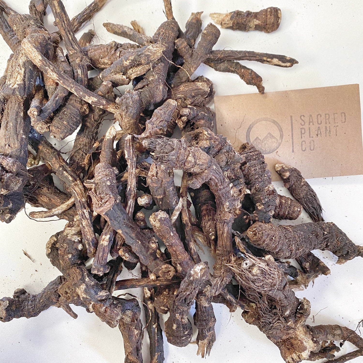 Close-up of dried Osha roots for sale, with Sacred Plant Co Brand Card.