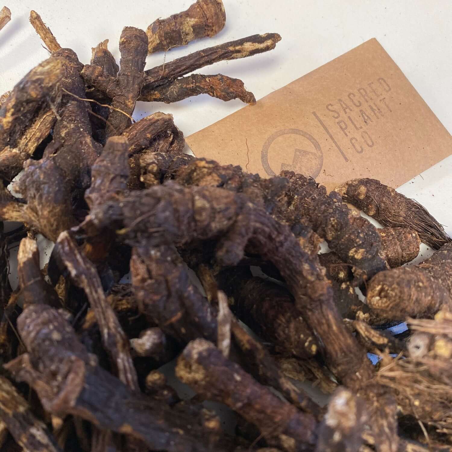 Various cuts of Osha roots offered by Sacred Plant Co, demonstrating the natural variations of the product available for health and wellness.