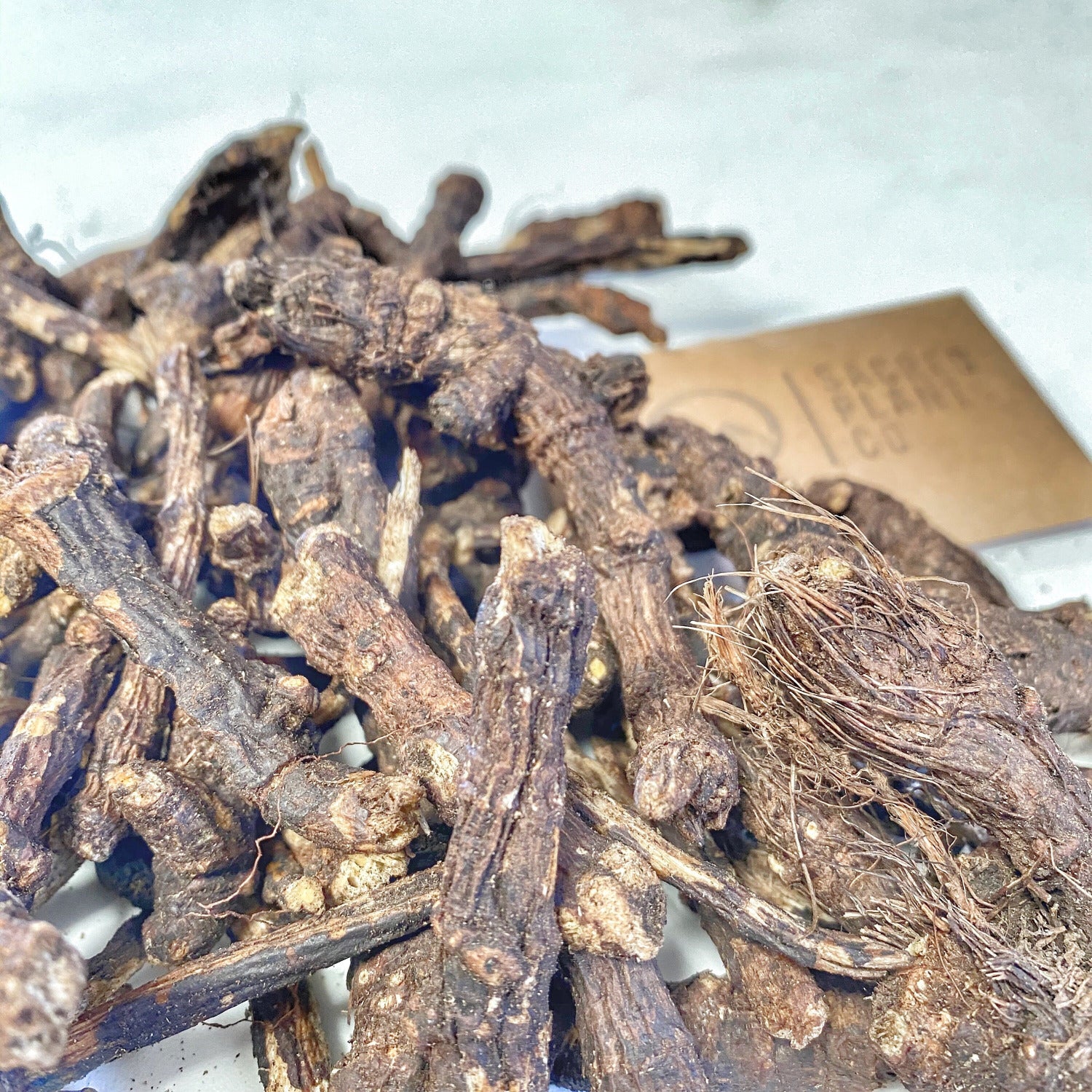 Close-up of dried Osha roots for sale, with bright light and Sacred Plant Co Card. 