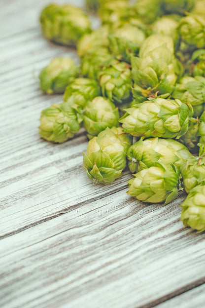 Fresh green hops cones spread on a rustic wooden table, ingredients for Sacred Plant Co&
