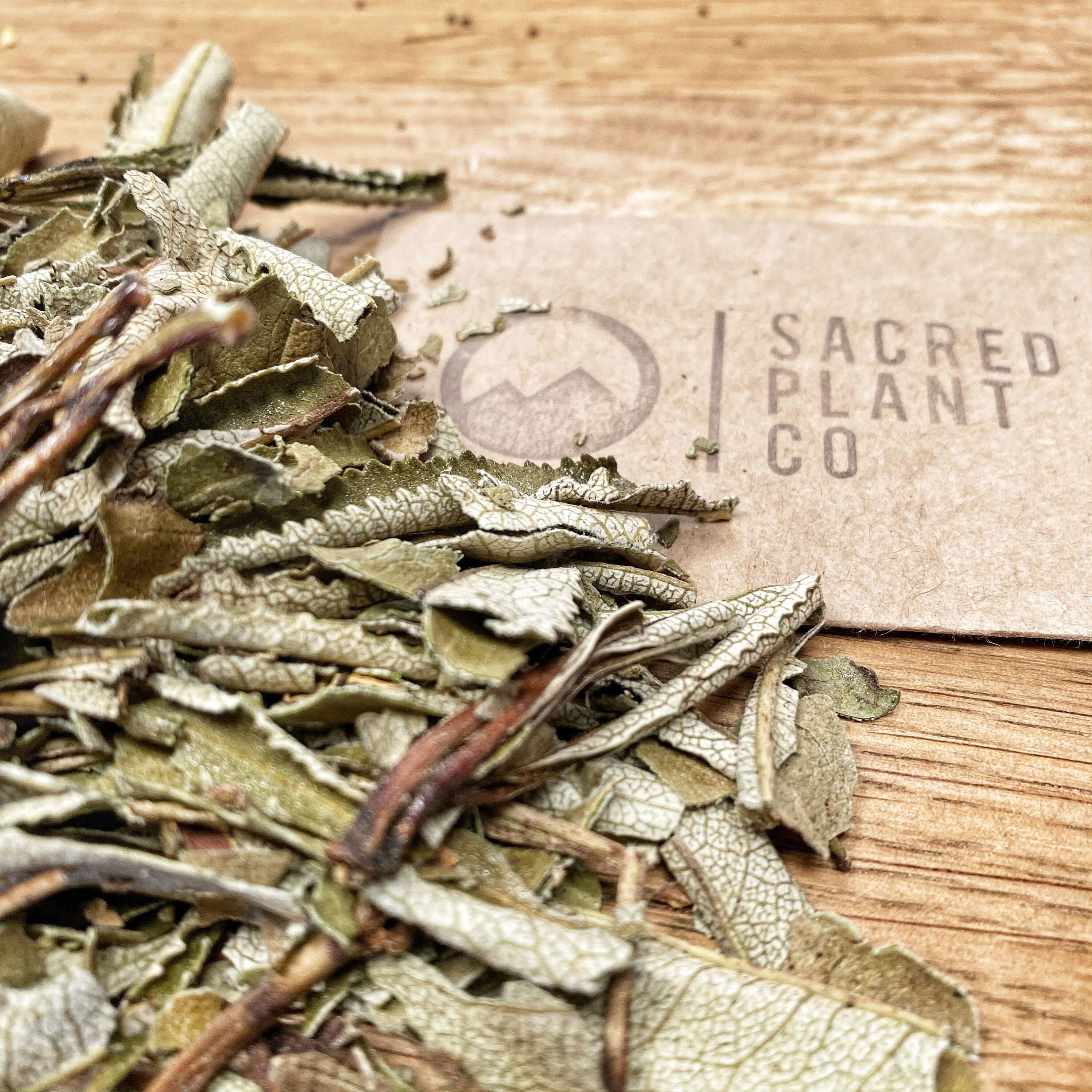 Yerba Santa Leaf by Sacred Plant Co spread on a wooden background. The coarse, dried texture highlights the herb&