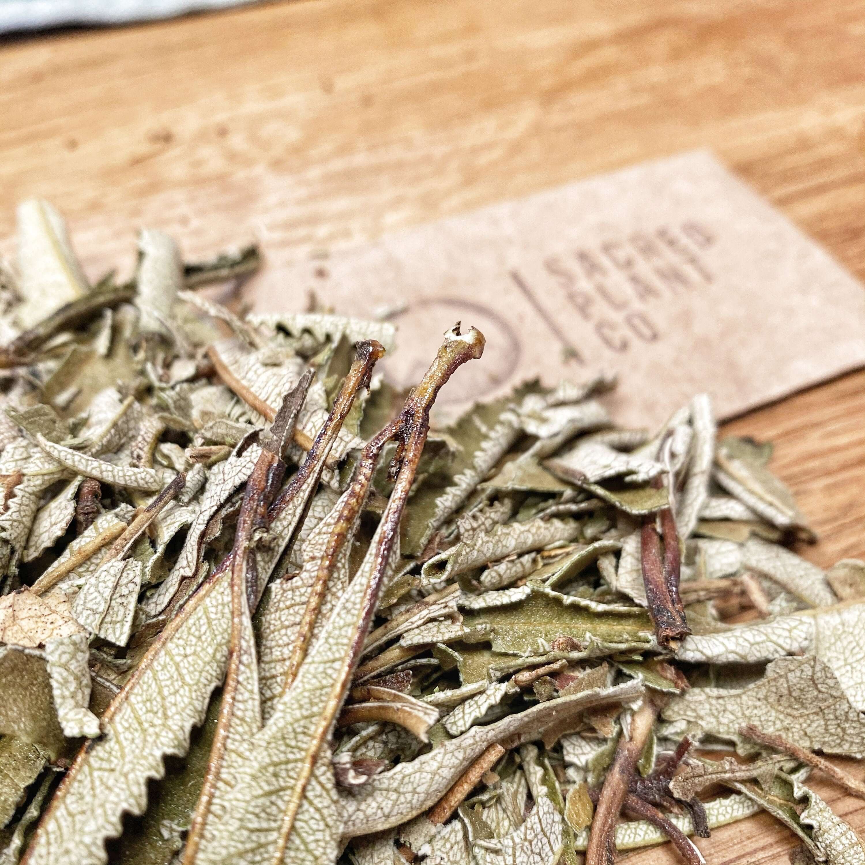 Sacred Plant Co&