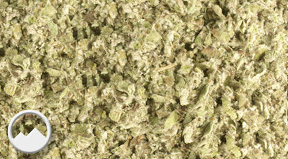 Coltsfoot Herb in Bulk - Tussilago Farfara - Premium Dried Coltsfoot Leaves