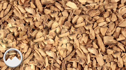 Calamus Root Premium Bulk  | Bulk Sweet Flag Root | Gladdon &amp; Beewort Herb | Rat Root Herb