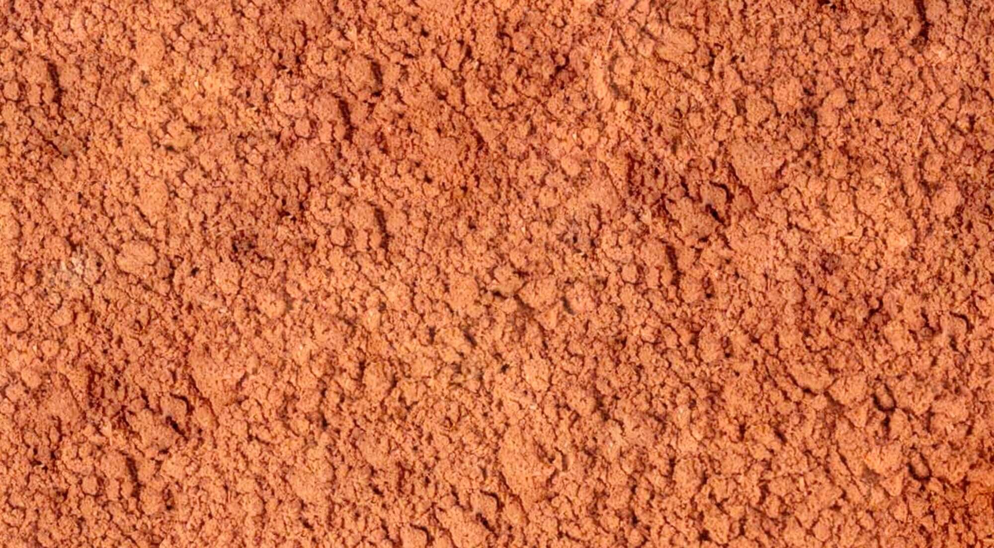 Close-up of Sacred Plant Co&
