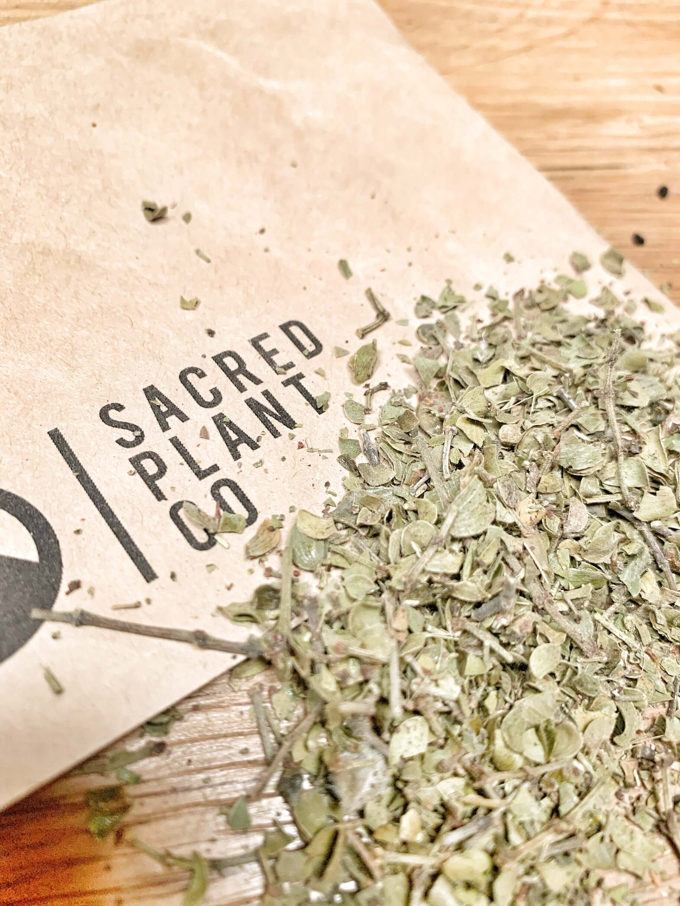 Close-up of Sacred Plant Co’s Chaparral Leaf herbal blend, showcasing fresh, green herbs on eco-friendly kraft paper packaging.