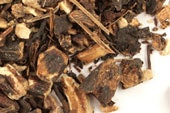 Comfrey Root Bulk - Premium Quality Dried Symphytum Officinale - Sacred Plant Co