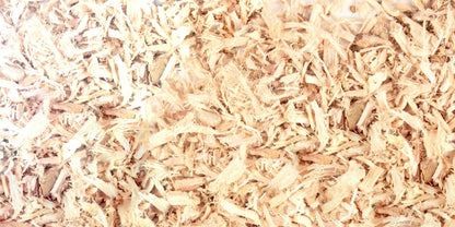 Stillingia Root Bulk - Premium Quality Dried Stillingia sylvatica Root - Traditional Herbal Remedy