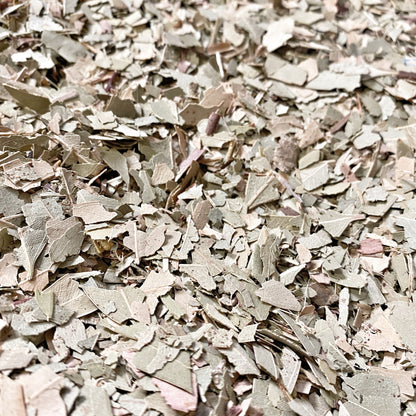 Detail of cut and sifted eucalyptus leaves with a focus on the texture and natural variation in colors from pale green to earthy brown.&quot;