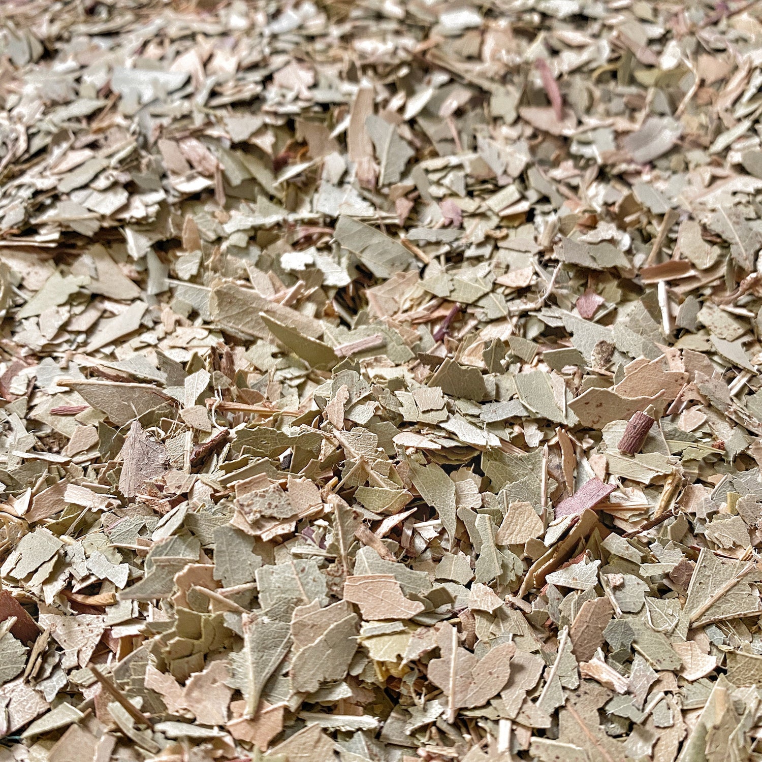 Close-up of finely chopped eucalyptus leaves scattered in a heap, showcasing various shades of green and brown.