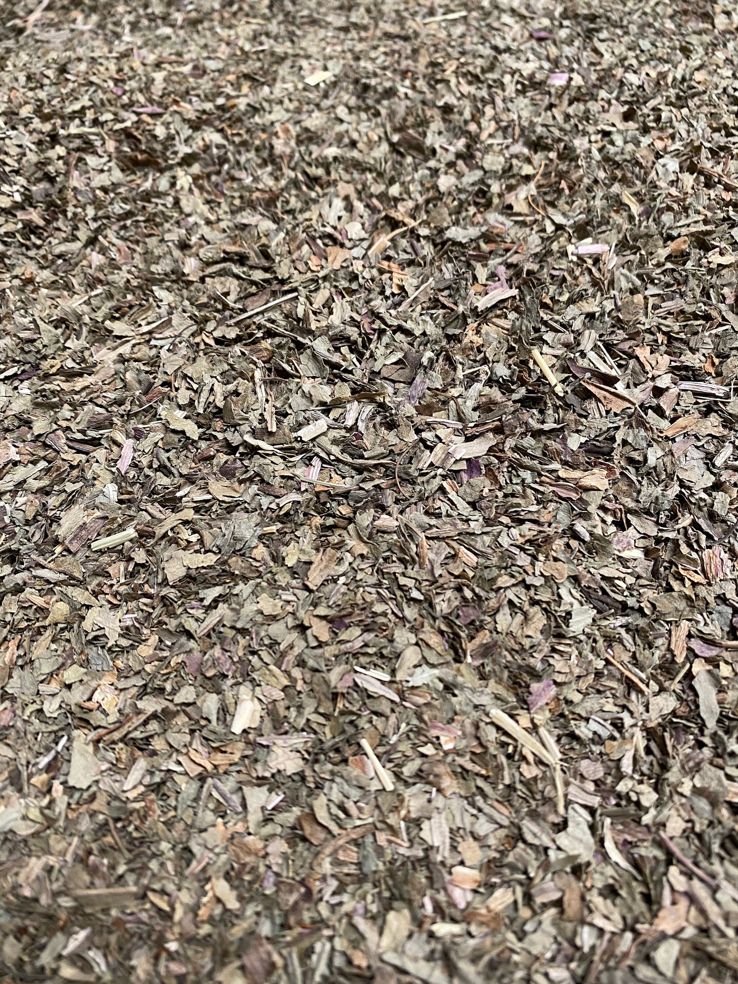 Plantain Leaf Bulk - Premium Quality Dried Plantago Major Leaves - Sacred Plant Co