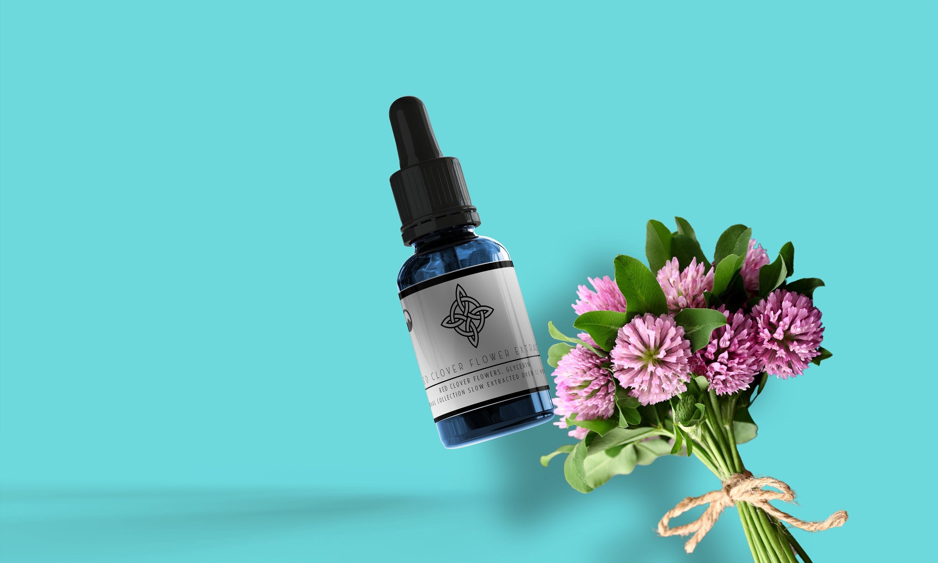 Red Clover Blossom Tincture - Promote Hormonal Balance and Vitality | Sacred Plant Co