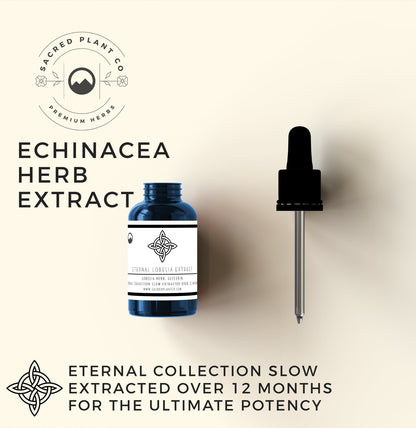 Echinacea Tincture - Boost Your Immune System Naturally | Sacred Plant Co