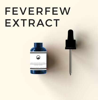 Feverfew Tincture - Natural Support for Headaches and Migraines | Sacred Plant Co
