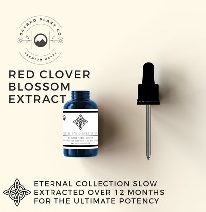 Red Clover Blossom Tincture - Promote Hormonal Balance and Vitality | Sacred Plant Co