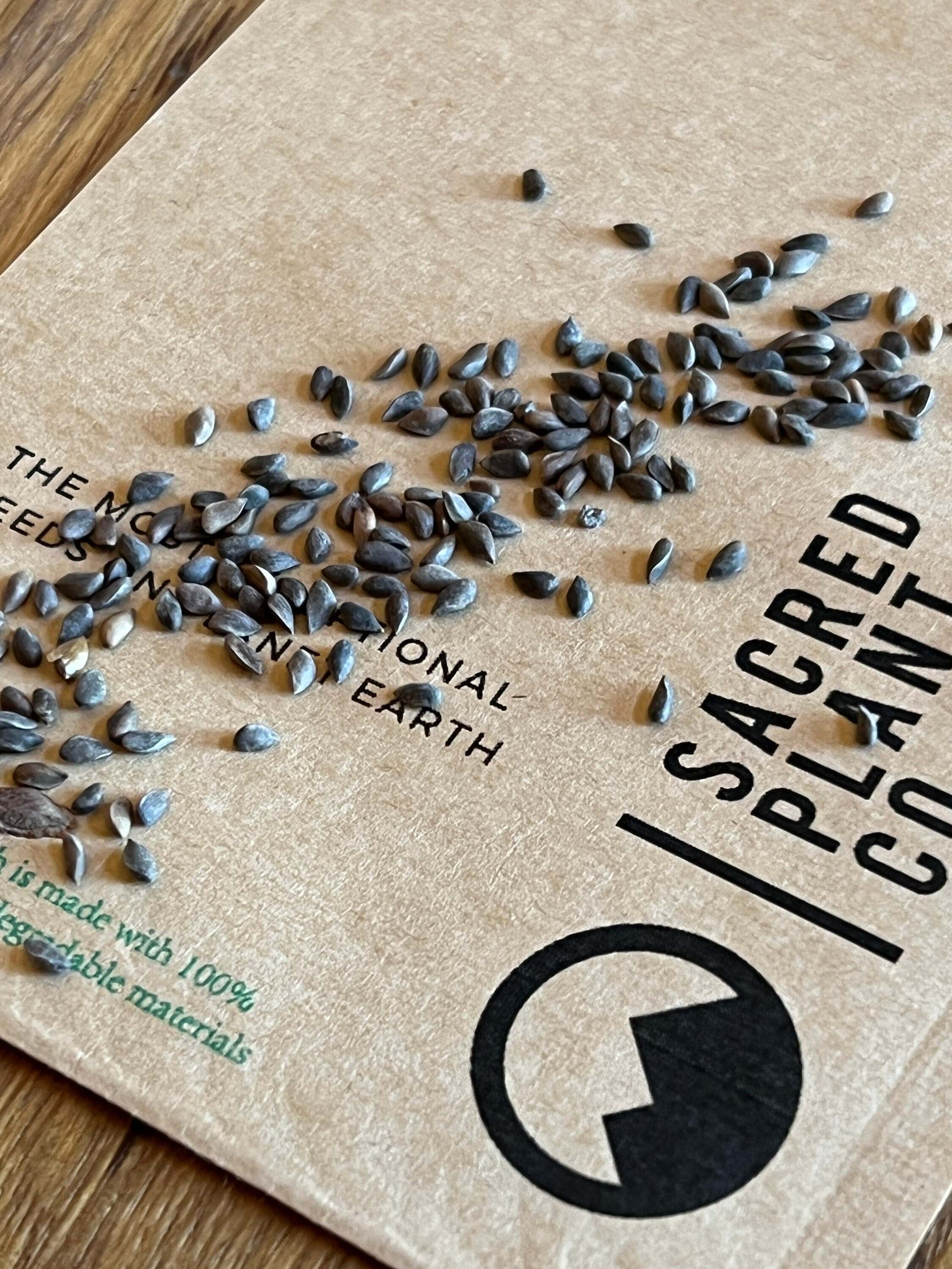 Close-up Blue Spruce Seeds on Sacred Plant Co Eco-friendly seed package. 